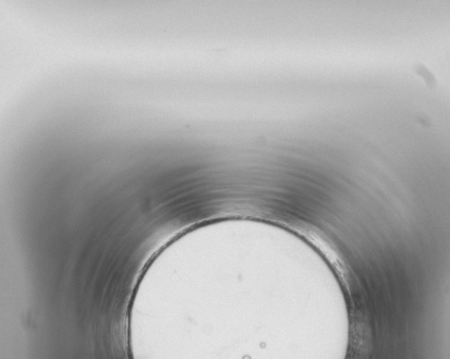 X0000115420807200912011245