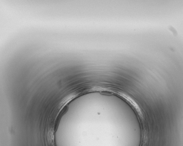 X0000115420809200912011245