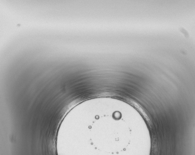 X0000115420810200912011245