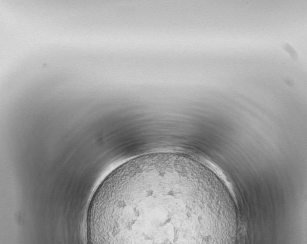 X0000115420811200912011245