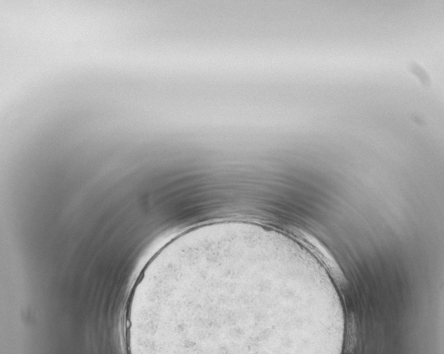 X0000115420812200912011245