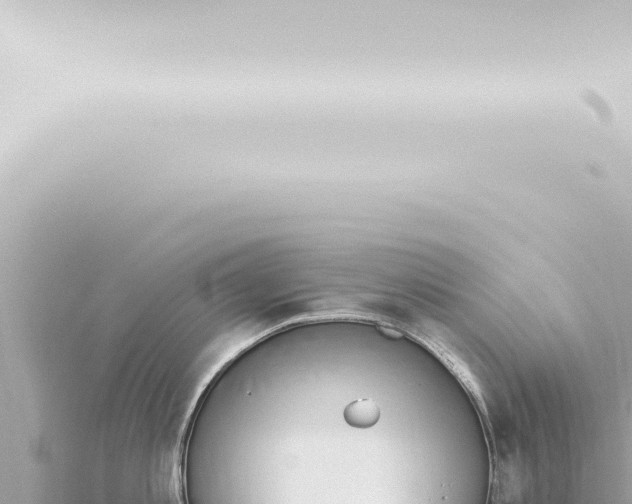 X0000115420813200912011245