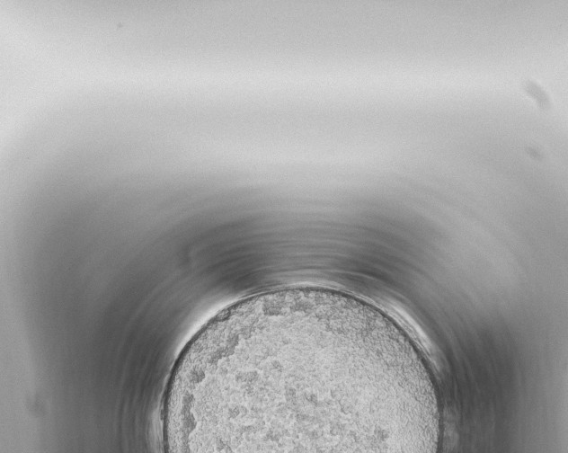 X0000115420814200912011245