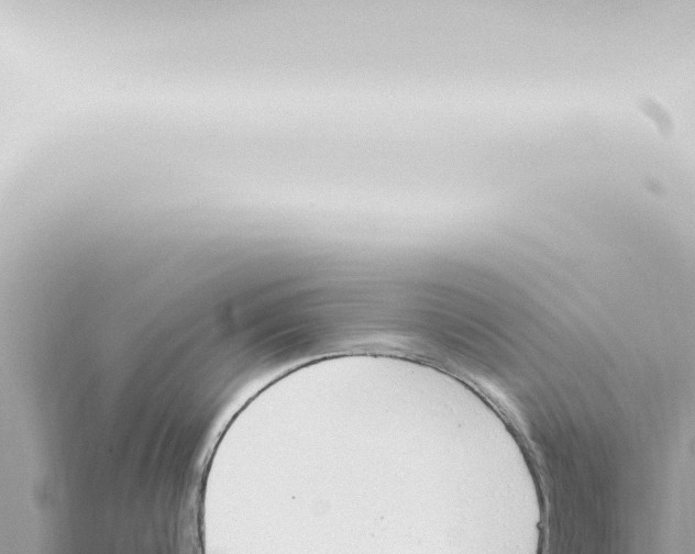 X0000115420816200912011245