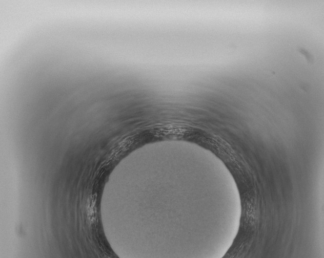 X0000115420818200912011244