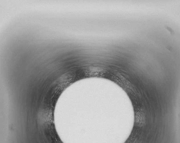 X0000115420820200912011244