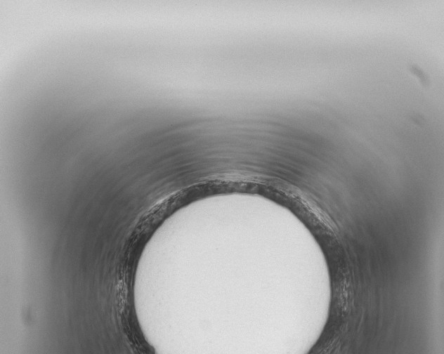 X0000115420821200912011244