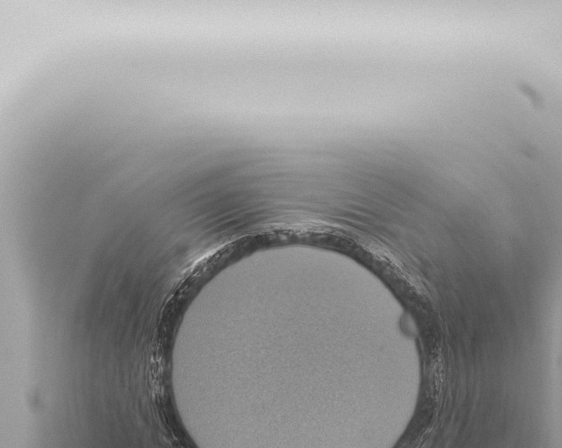 X0000115420822200912011244