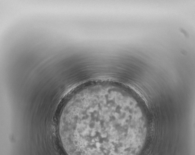 X0000115420823200912011244