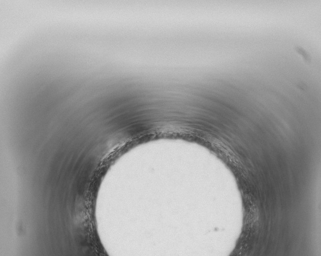 X0000115420824200912011244