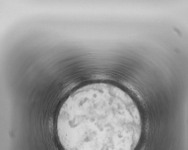 X0000115420825200912011244