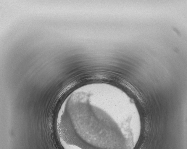 X0000115420826200912011244