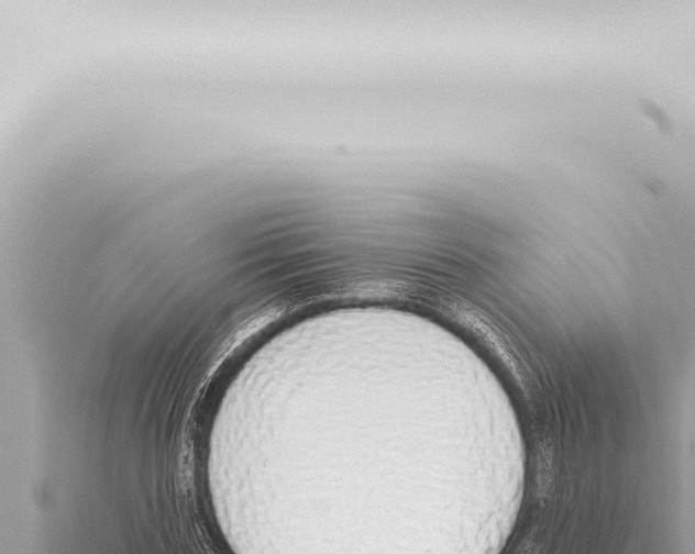 X0000115420827200912011244