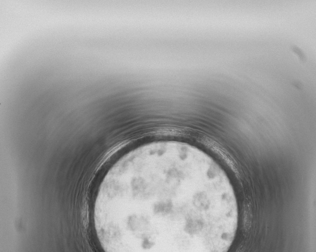 X0000115420829200912011244