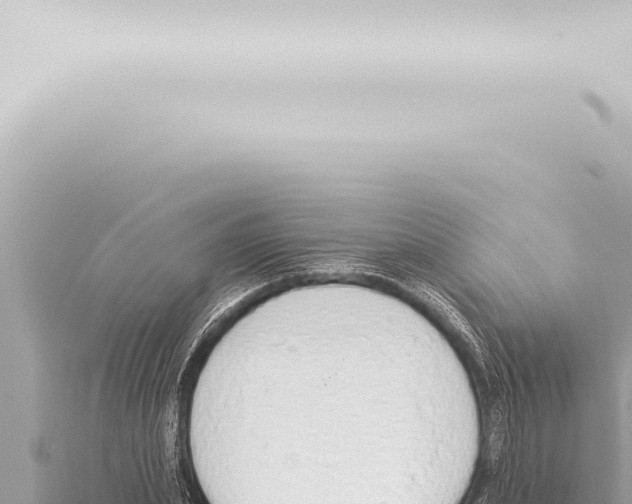 X0000115420831200912011244