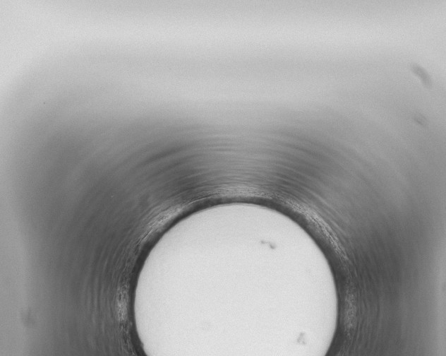 X0000115420833200912011244