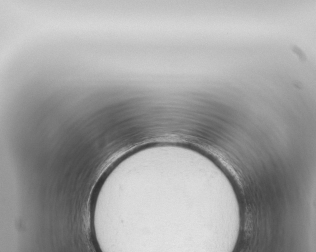 X0000115420837200912011244