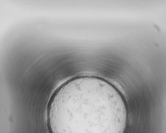 X0000115420839200912011244