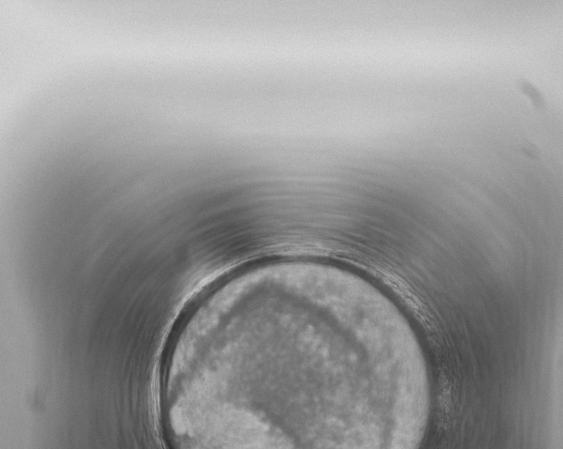 X0000115420840200912011244