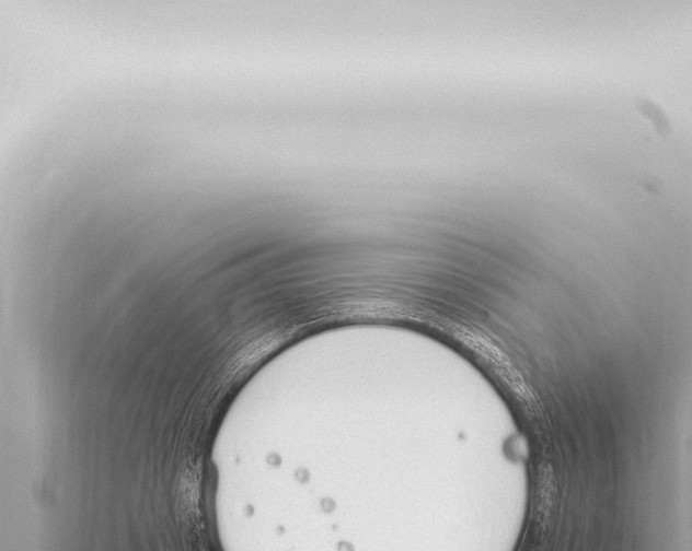 X0000115420841200912011244