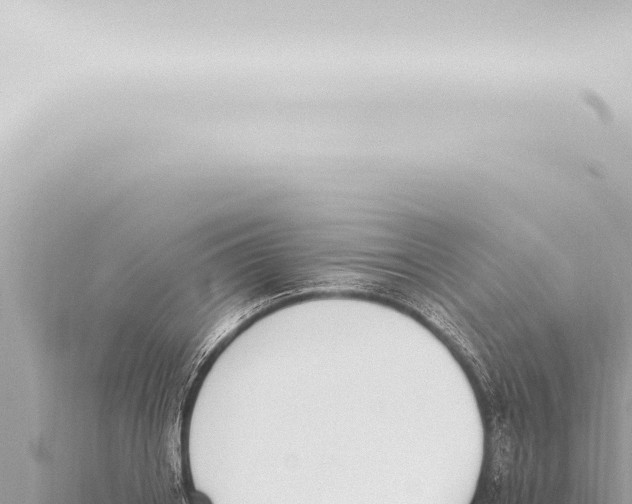 X0000115420842200912011244