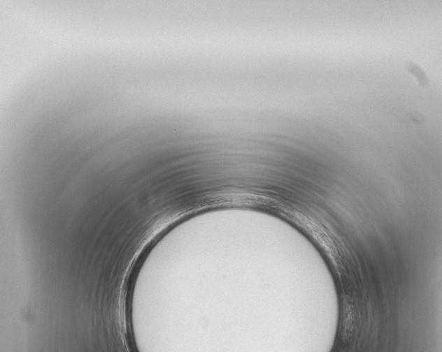 X0000115420843200912011244