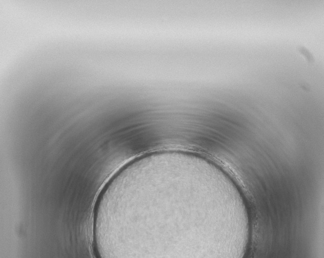 X0000115420844200912011244