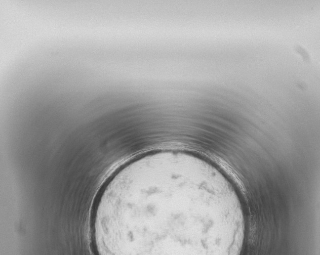 X0000115420845200912011244