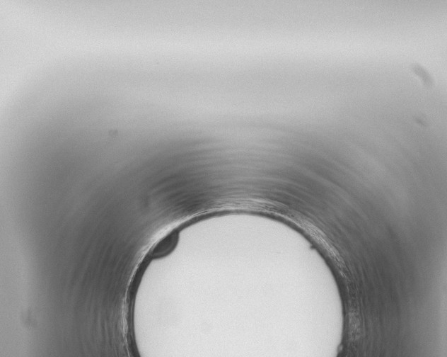 X0000115420846200912011244