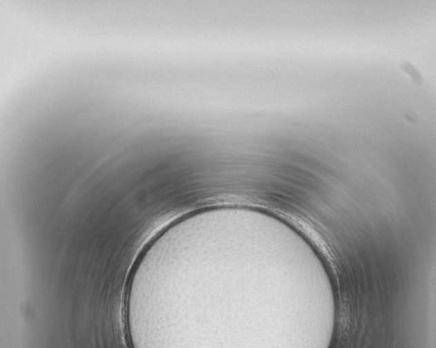 X0000115420847200912011244