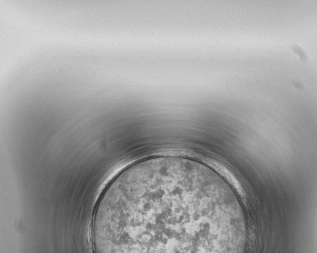 X0000115420855200912011244