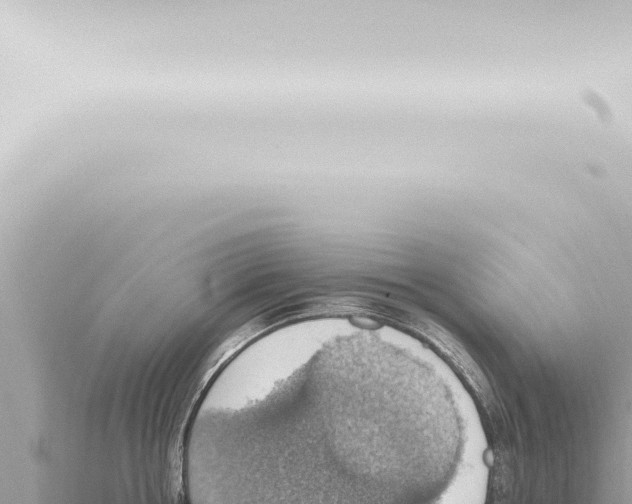 X0000115420858200912011244