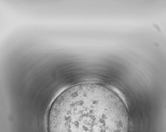 X0000115420859200912011244