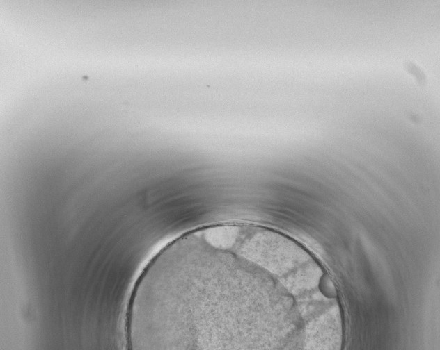 X0000115420864200912011245