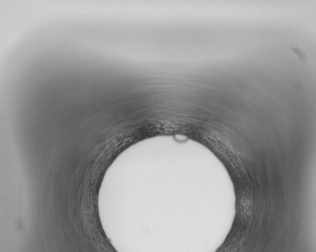 X0000115420865200912011244