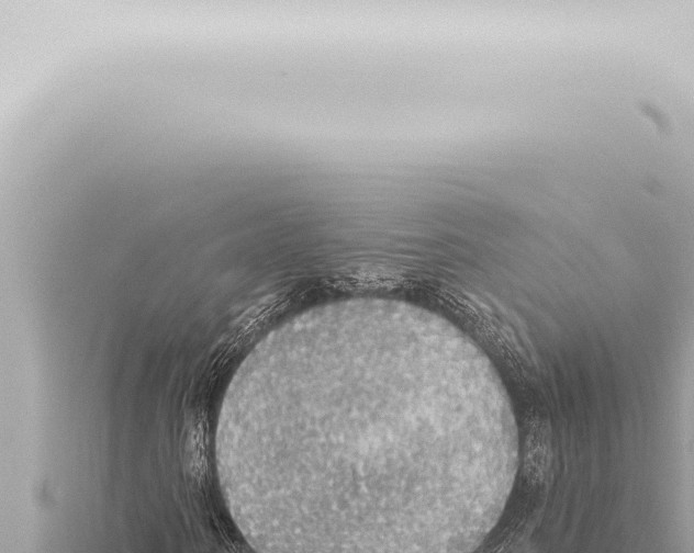 X0000115420866200912011244