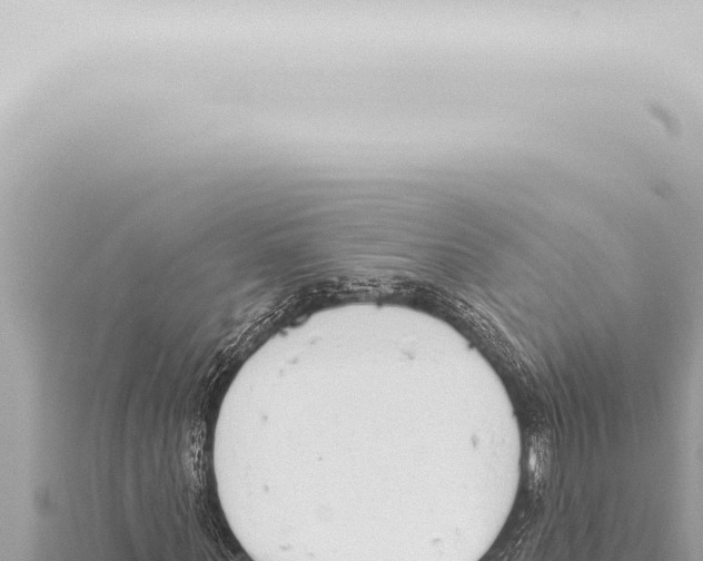 X0000115420867200912011244