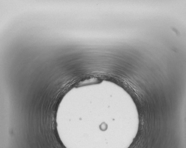 X0000115420868200912011244