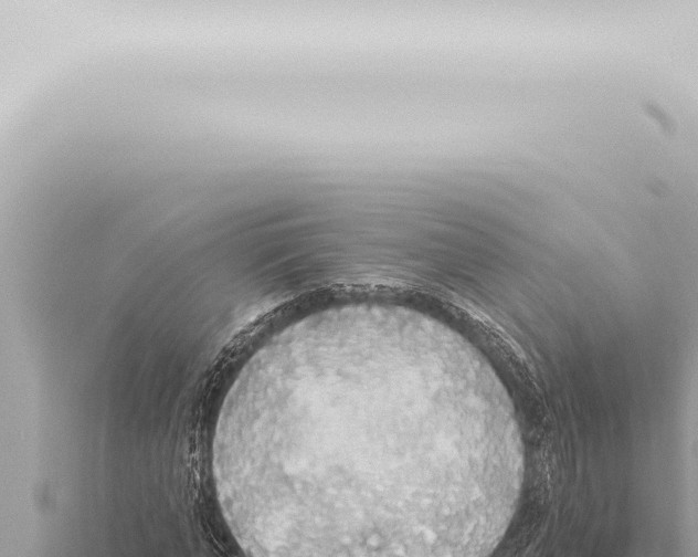 X0000115420870200912011244