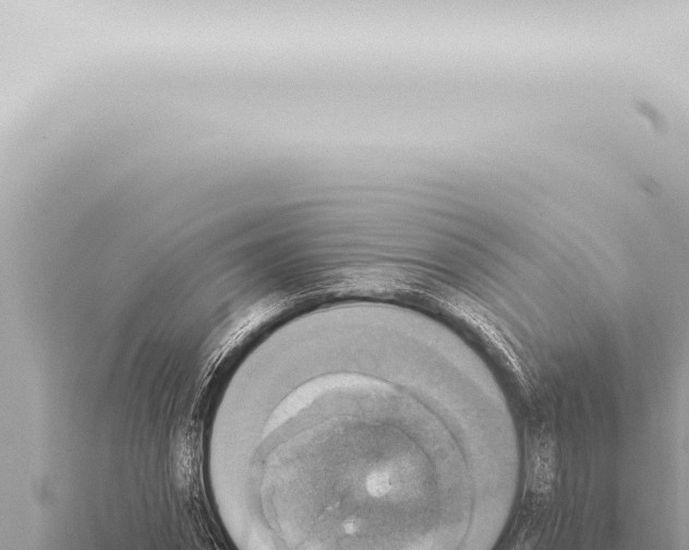 X0000115420874200912011244