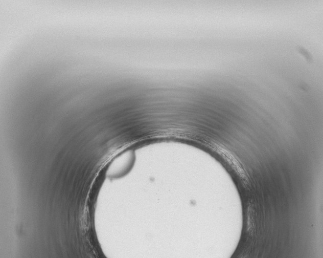 X0000115420876200912011244