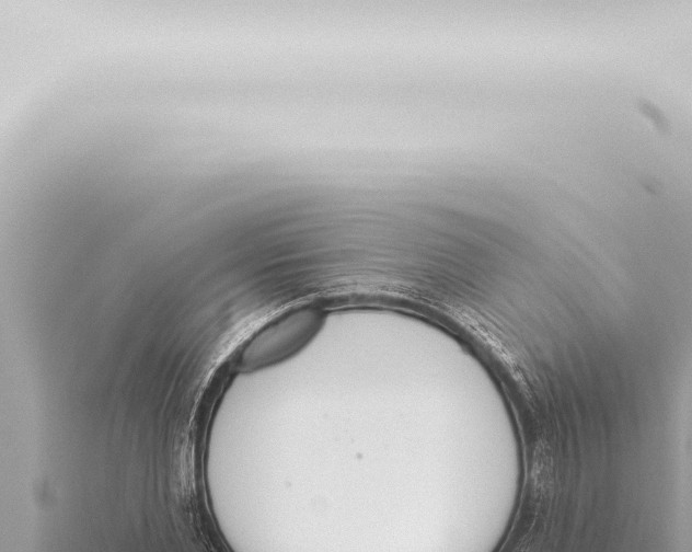 X0000115420877200912011244