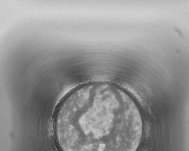 X0000115420878200912011244