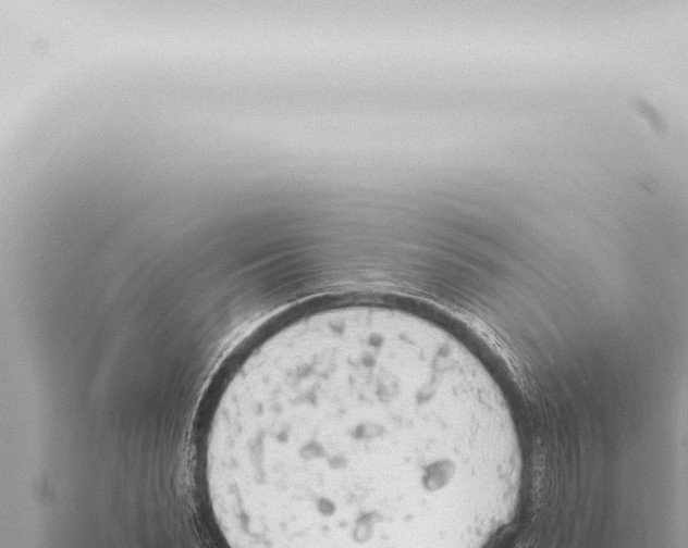 X0000115420879200912011244