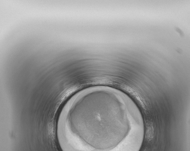 X0000115420882200912011244