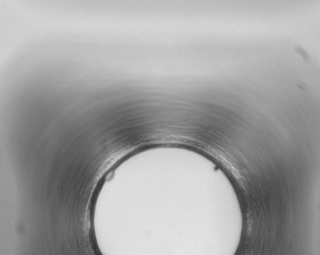 X0000115420885200912011244