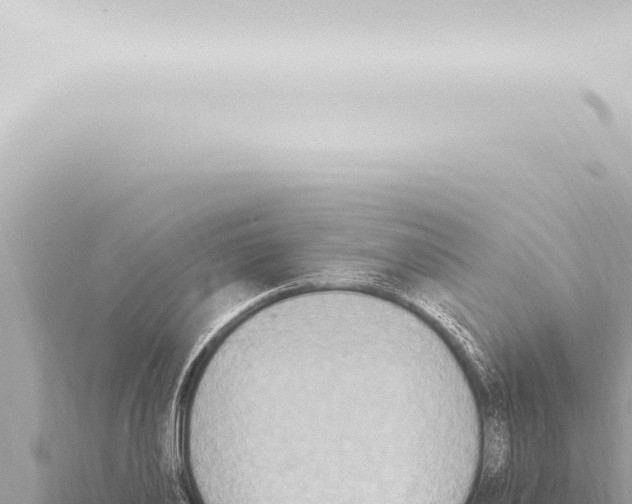 X0000115420886200912011244