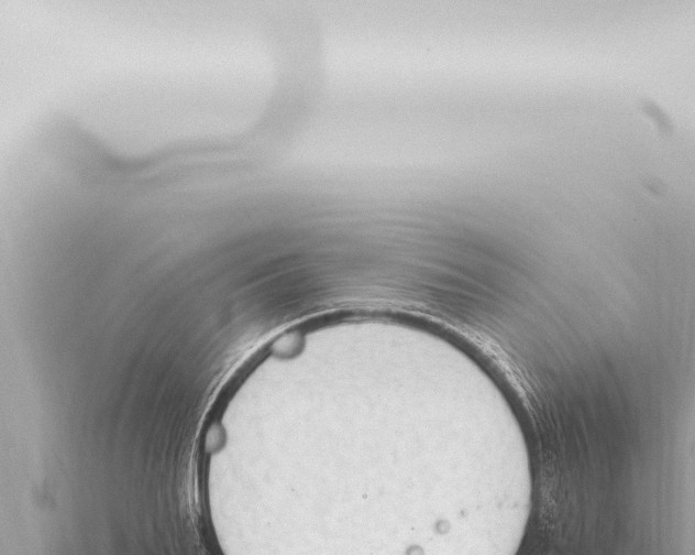 X0000115420887200912011244