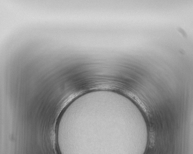 X0000115420890200912011244