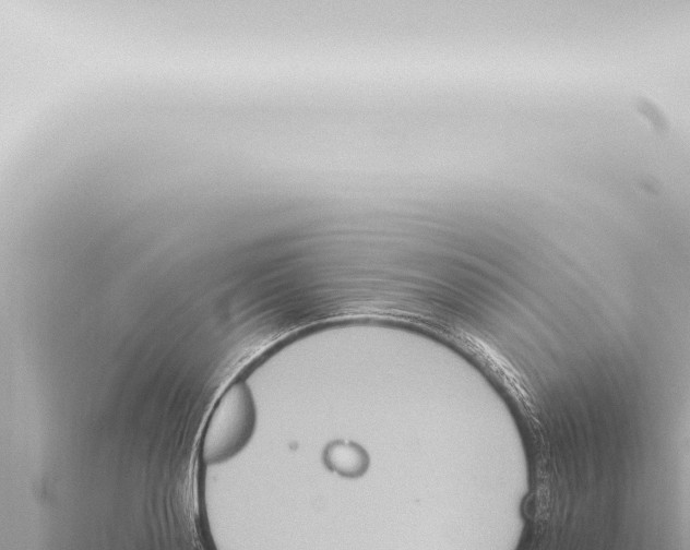 X0000115420892200912011244